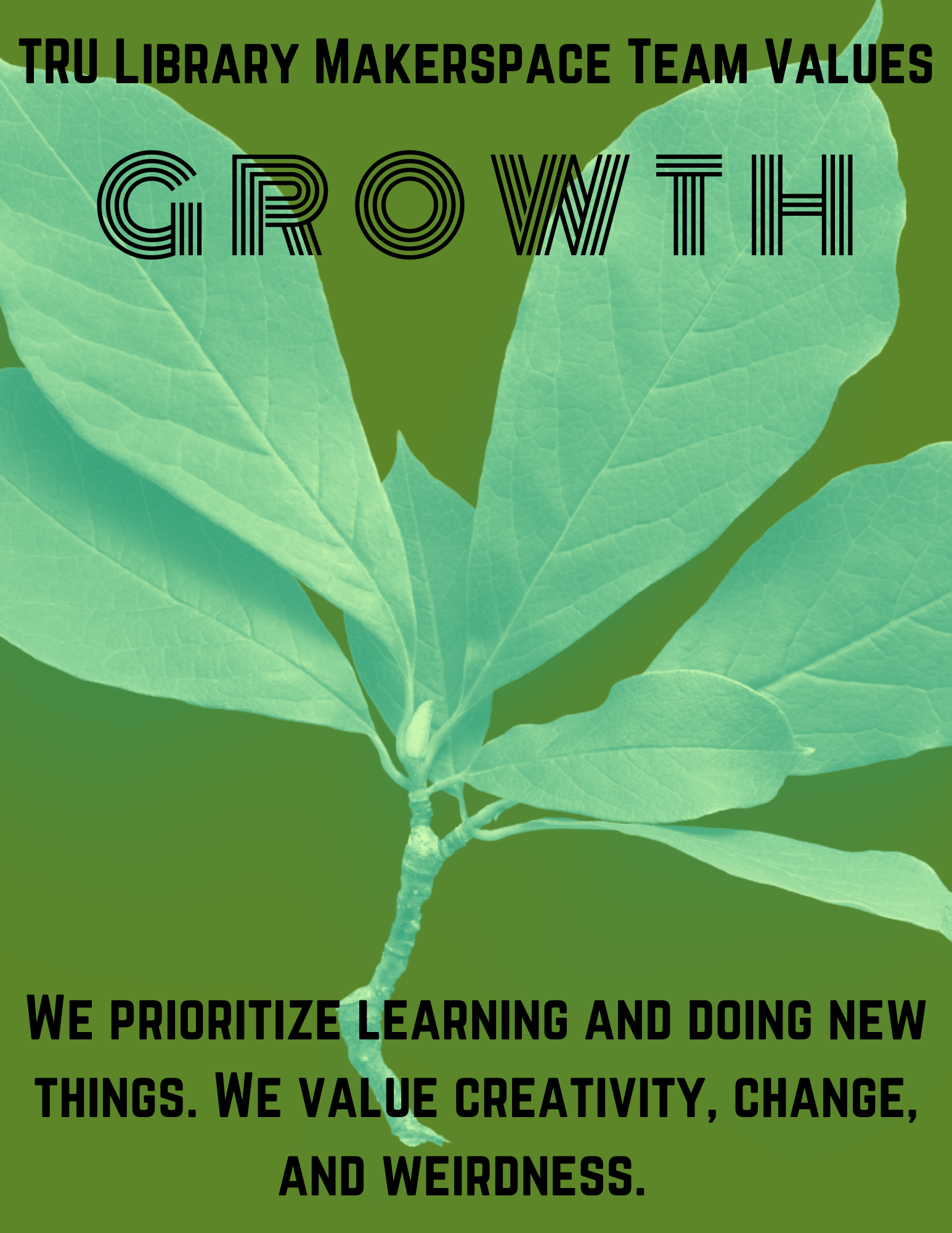 Growth: We prioritize learning and doing new things. We value creativity, change, and weirdness.