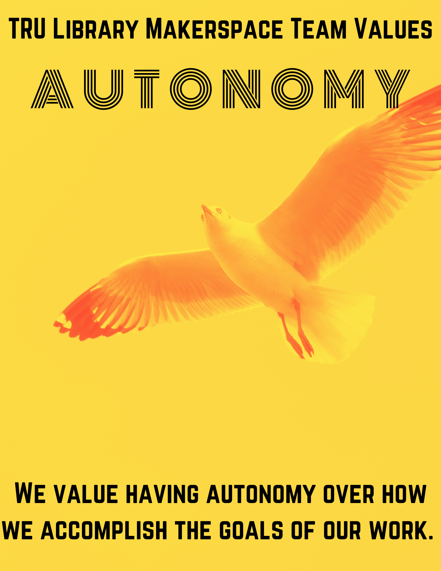 Autonomy: We value having autonomy over how we accomplish the goals of our work.