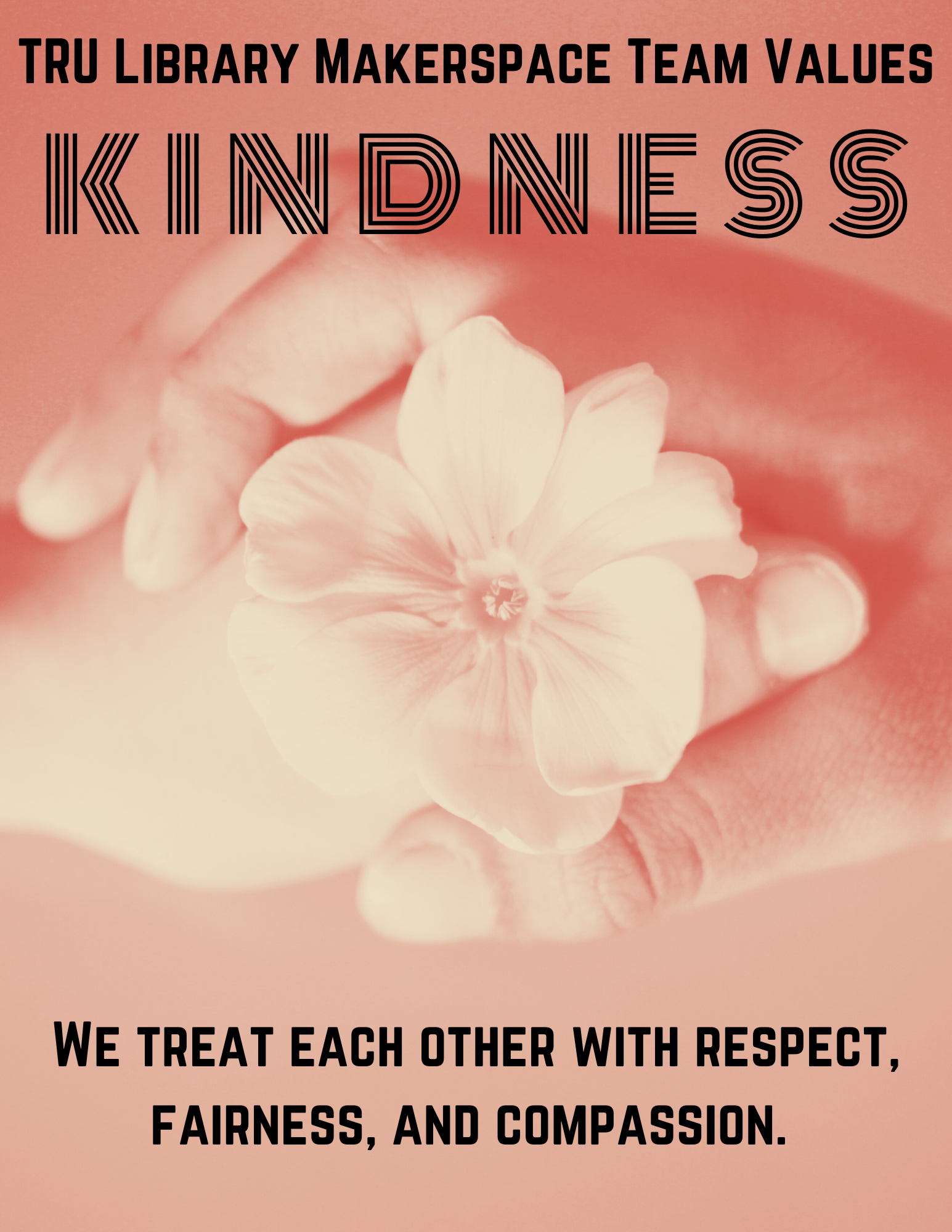 Kindness: We treat each other with respect, fairness, and compassion.