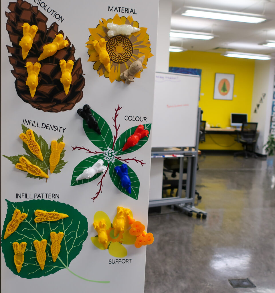 an image of the snail setting wall on the side of a cabinet, including 6 plants and 22 snails